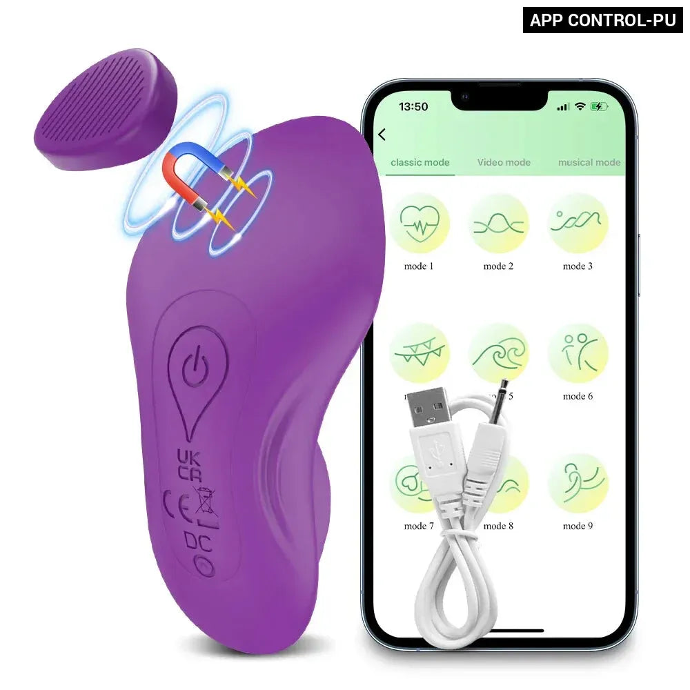 Remote Control Clit Stimulator Wearable Vibrating Panties